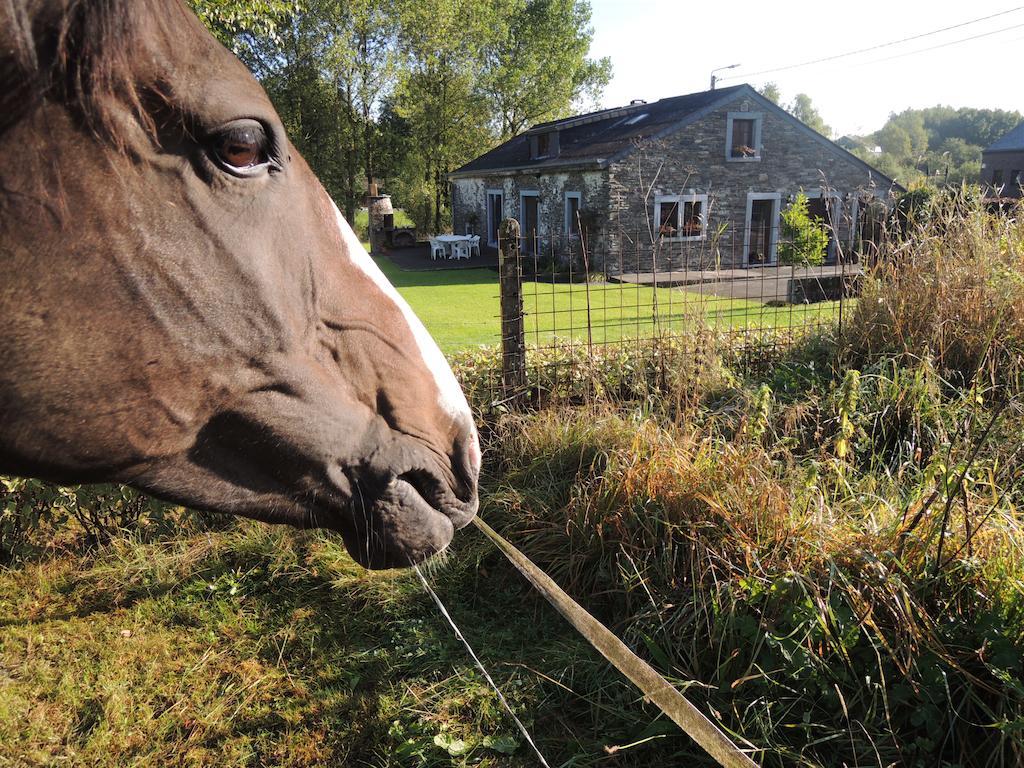 Une Parenthese En Ardenne Nollevaux Pokoj fotografie
